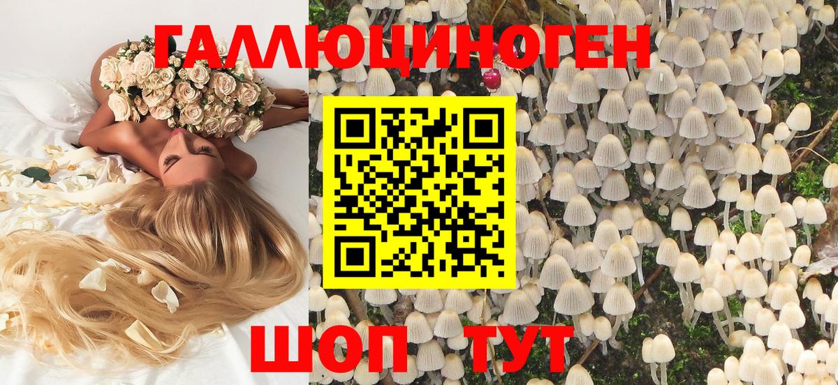Псилоцибиновые грибы ЛСД Ялта